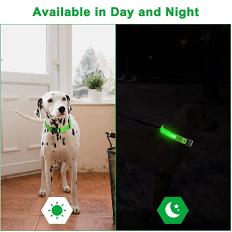 Electronic Pet LED Dog Collar Adjustable Flash Recharge Pet Collars Reflective LED Collars for Dogs Night Anti-Lost Dog Products